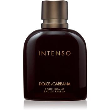 Dolce & Gabbana Pour Homme Intenso Eau de Parfum pentru bărbați 200 ml