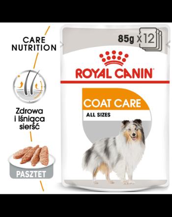 ROYAL CANIN Coat Care- Hrana umeda pentru blana, pentru câinii adulți, 12 plicuri x 85 g