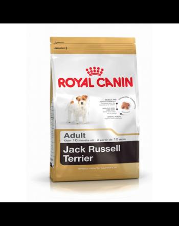 ROYAL CANIN jack russell Terrier Adult 0.5 kg