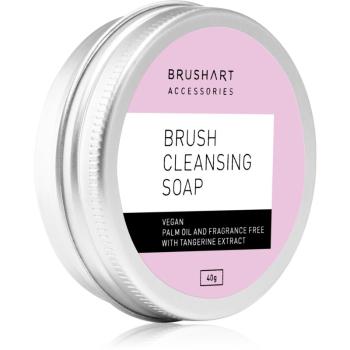 BrushArt Accessories Make-up sapun pentru curatare pentru pensule cosmetice 40 g