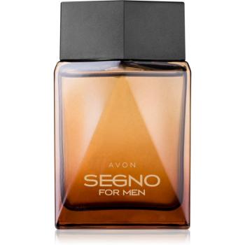 Avon Segno Eau de Parfum pentru bărbați 75 ml