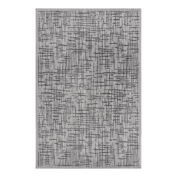 Covor de exterior gri 190x290 cm Clyde Telu – Hanse Home