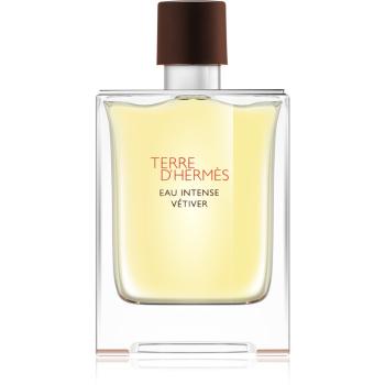 Hermès Terre d'Hermès Eau Intense Vétiver Eau de Parfum pentru bărbați 100 ml