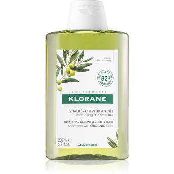 Klorane Organic Olive sampon pentru regenerare pentru par matur 200 ml