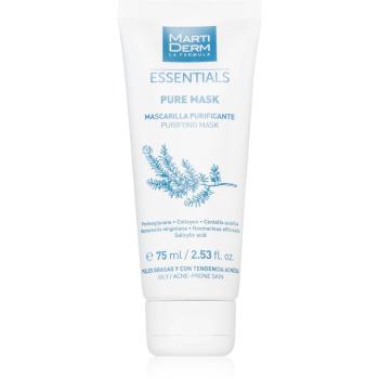 MartiDerm Essentials masca de curatare pentru reducerea sebumului si minimalizarea porilor 75 ml