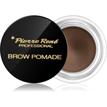 Pierre René Eyes Eyebrow pomadă pentru sprâncene culoare Brown 4 g