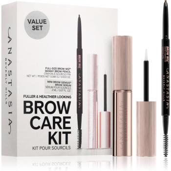 Anastasia Beverly Hills Brow Care Kit kit pentru sprâncene Taupe culoare