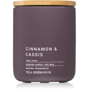 Vila Hermanos Concrete Cinnamon & Cassis lumânare parfumată 120 g