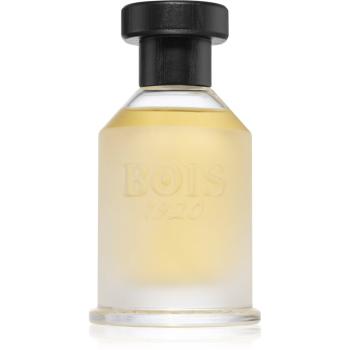 Bois 1920 Vetiver Ambrato Eau de Toilette unisex 100 ml