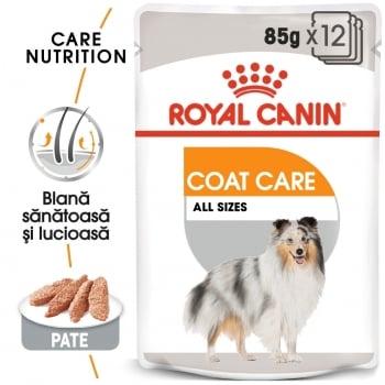 Royal Canin Coat Care Adult, bax hrană umedă câini, blană sănătoasă și lucioasă, (pate), 85g x 12