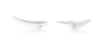 Calvin Klein Cercei alungiți din oțel Elongated Drops 35000344