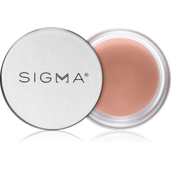 Sigma Beauty Hydro Melt Lip Mask mască hidratantă pentru buze cu acid hialuronic culoare Tint 9,6 g