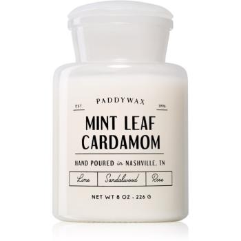 Paddywax Farmhouse Mint Leaf & Cardamom lumânare parfumată  (Apothecary) 226 g