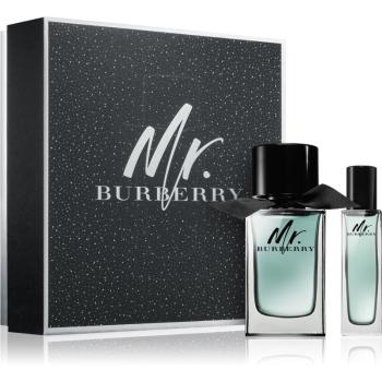 Burberry Mr. Burberry set cadou V. pentru bărbați