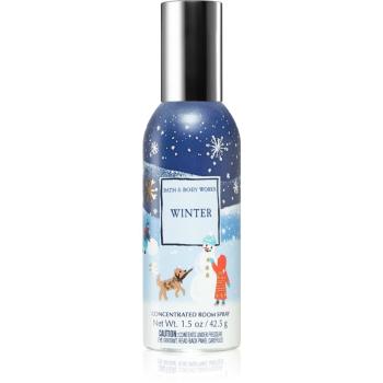 Bath & Body Works Winter spray pentru camera 42,5 g