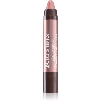 Burt’s Bees Glossy Lip Crayon ruj gloss in creion culoare 401 Outback Oasis 2.83 g