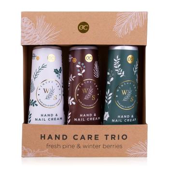 Accentra Set pentru îngrijirea mâinilor Winter Spa 3 x 60 ml