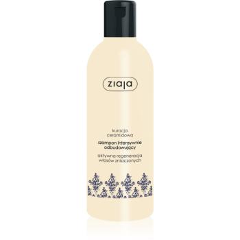 Ziaja Ceramides șampon intens cu efect de regenerare 300 ml