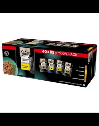 SHEBA Selection Select Slices Pliculete hrana pisici 40x85 g cu rata, pui, pasare si curcan