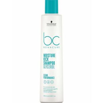 Schwarzkopf Professional Șampon hidratant pentru păr normal spre uscat Moisture Kick (Shampoo) 250 ml