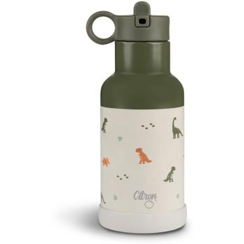 Citron Water Bottle 350 ml (Stainless Steel) sticlă inoxidabilă pentru apă Dino 350 ml