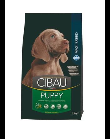 CIBAU Puppy Maxi Hrana uscata pentru catei sau femele gestante de talie mare 2,5 kg