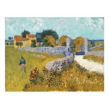 Reproducere pe pânză după Vincent van Gogh - Farmhouse in Provence, 40 x 30 cm