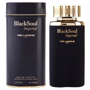Ted Lapidus Black Soul Imperial Eau de Toilette pentru bărbați 100 ml