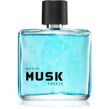 Avon Musk Freeze Eau de Toilette pentru bărbați 75 ml