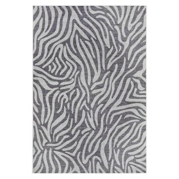 Covor adecvat pentru exterior NORTHRUGS Cebra, 200 x 290 cm, gri - bej