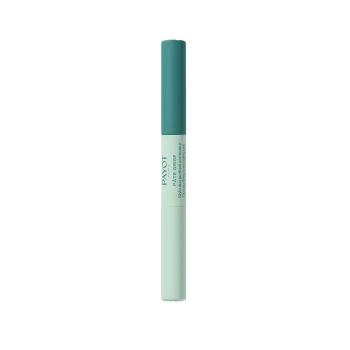 Payot Corector local de îngrijire și acoperire pentru acnee Pâte Grise (Duo Purifying Concealing Pen) 6 ml