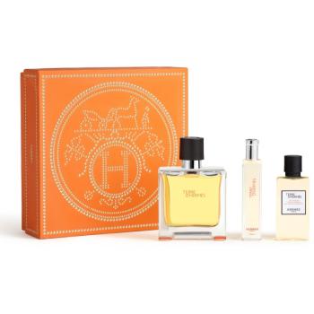 HERMÈS Terre d’Hermès Set set cadou IV. pentru bărbați