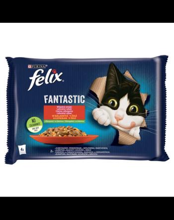 FELIX FANTASTIC Hrana umeda in jeleu pentru pisici adulte (pui cu rosii, carne de vita cu morcov) 48x85g