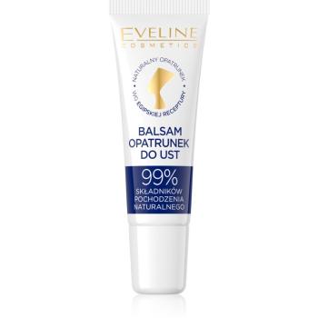 Eveline Cosmetics Egyptian Miracle balsam de buze hidratant antibacterial 12 ml