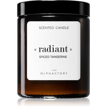 Ambientair The Olphactory Spiced Tangerine lumânare parfumată 135 g