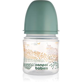 Canpol babies Mountains biberon pentru sugari Green 120 ml