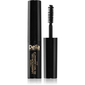 Delia Cosmetics Eyebrow Expert gel pentru sprancene culoare 1.0 Black 4 ml