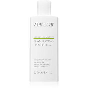 La Biosthétique Methode Normalisante șampon pentru un scalp seboreic 250 ml