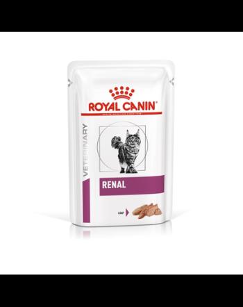 ROYAL CANIN Cat Renal 48x85 g hrana umeda pisici cu afectiuni ale rinichilor