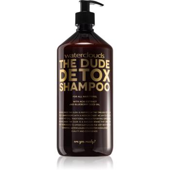 Waterclouds The Dude Detox Shampoo sampon detoxifiant pentru utilizare zilnica 1000 ml
