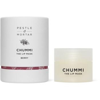 Pestle & Mortar Chummi mască hidratantă pentru buze 20 g