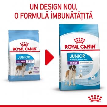 ROYAL CANIN Giant Junior, hrană uscată câini junior, etapa 2 de creștere, 15kg