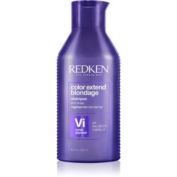 Redken Color Extend Blondage sampon violet neutralizeaza tonurile de galben 500 ml