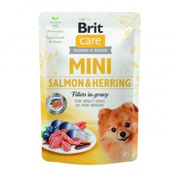 BRIT Care Mini Sterilised, XS-S, File Somon și Herring, plic hrană umedă câini sterilizați, (în sos), 85g