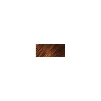 HennaPlus Vopsea de păr Long Lasting Colour 100 ml (Long Lasting Colour) 5.4 Vară indiană
