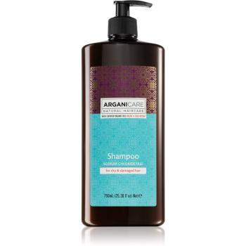 Arganicare Argan Oil & Shea Butter Sampon pentru par uscat si deteriorat 750 ml