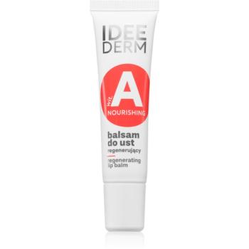 Ideepharm Idee Derm Vitamin A balsam de buze reparator 12 ml