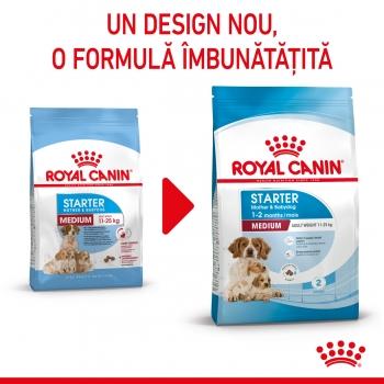 ROYAL CANIN Medium Starter Mother & BabyDog, mama și puiul, hrană uscată câini, 1kg