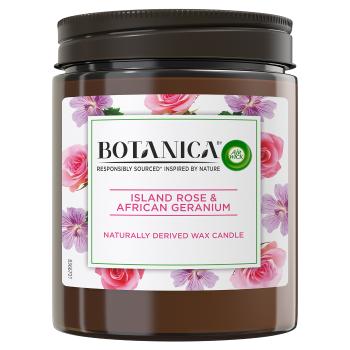 Air Wick Lumânare parfumată Botanica Trandafir exotic si muscata africana 205 g