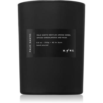 DW Home M. of W.G. Palo Santo lumânare parfumată 250 g